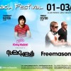 After Beach Festival 2012  